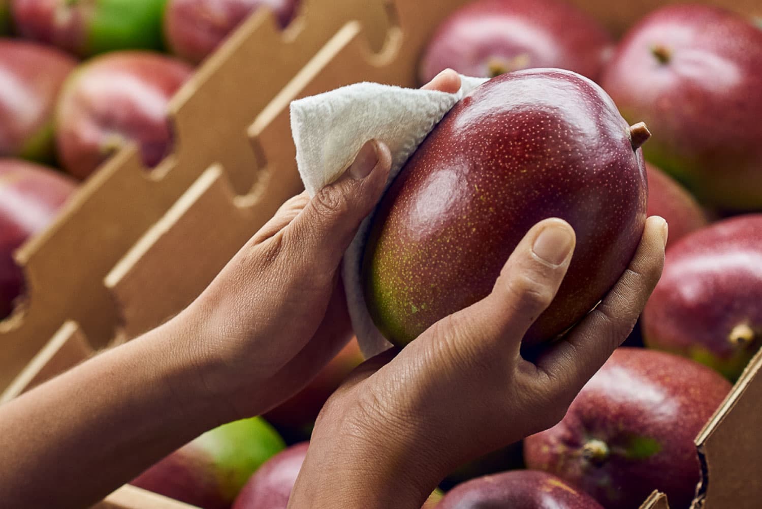 fondo frutas y productos que vendemos