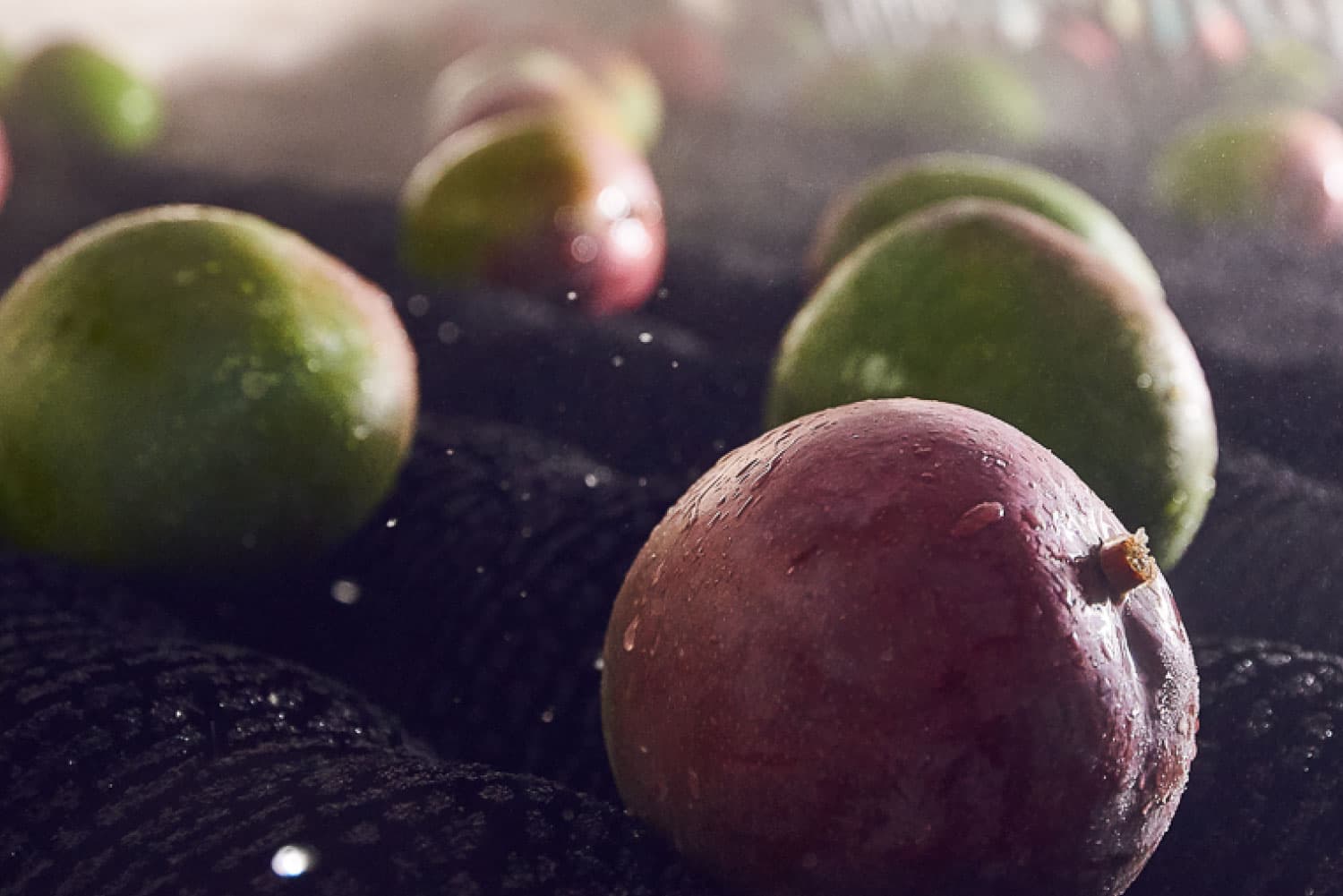 fondo frutas y productos que vendemos