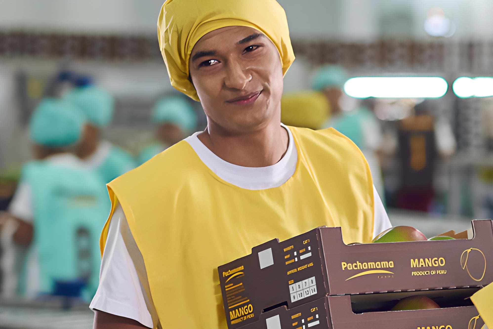 worker carrying fruits while working