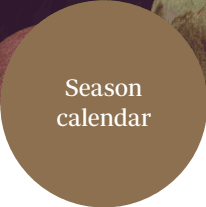 seasonal calendar where all fruits are grown || pachamama_farms_high_quality_exotic_fruits_vegetables_peru_CalendarInfo.png 