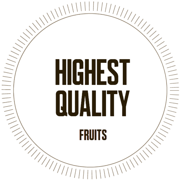 icon where we talk about our excellent work team,Certified guarantee,Innovation