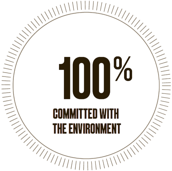 icon where we talk about our excellent work team,Certified guarantee,Innovation