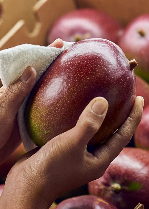 Fondo de frutas y productos que vendemos para mostrar en versión responsiva.