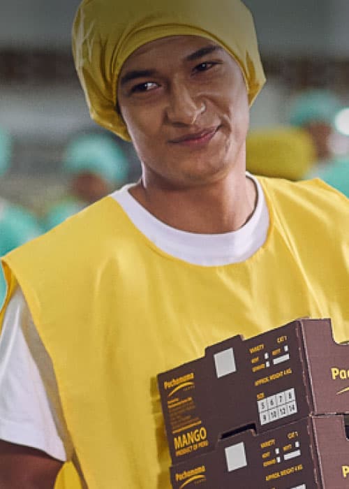 worker carrying fruits while working