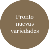 Ilustración con información sobre los 7000 metros cuadrados de fincas de pachamama donde se cultivan las mejores frutas del Perú.