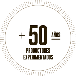 icono donde hablamos de nuestro excelente equipo de trabajo,Garantía certificada,Innovación