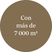 Información sobre el territorio de Fincas Pachamama Ilustración con información sobre los 7000 metros cuadrados de fincas de pachamama donde se cultivan las mejores frutas del Perú.